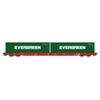 Sggnss Nacco + Evergreen