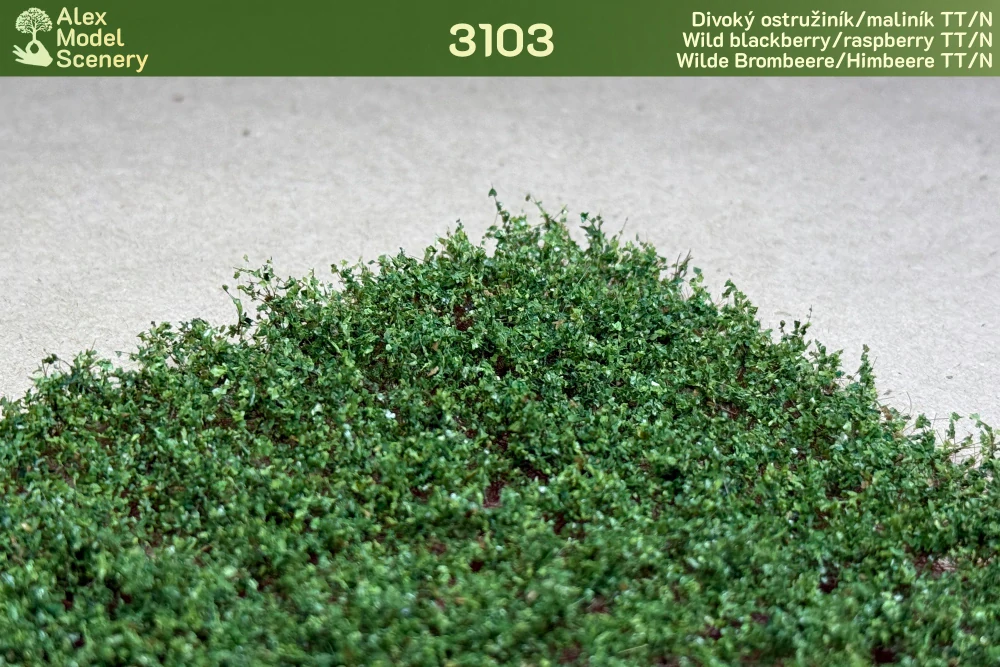 Divoký ostružiník/maliník TT/N