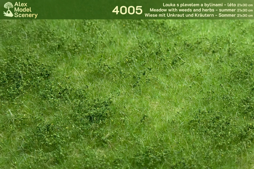 Louka s plevely a bylinami - léto