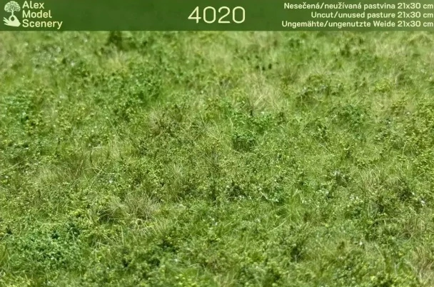 Nesečená/neužívaná pastvina