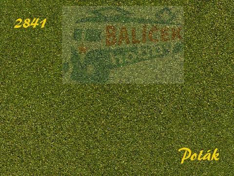 Naturex F - Zelený odstín - jemný - Zelená střední, Polák 2841