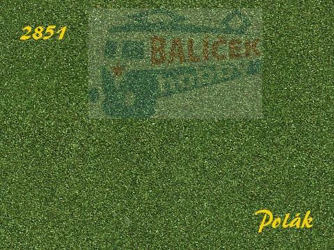 Naturex F - Zelený odstín - jemný - Zelená buková, Polák 2851