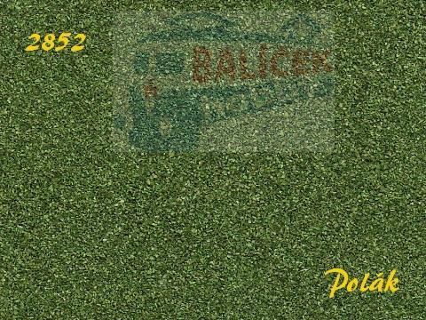 Naturex F - Zelený odstín - střední - Zelená buková, Polák 2852