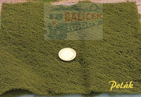 SITDEKOR - Zelená tmavá, Polák 7426