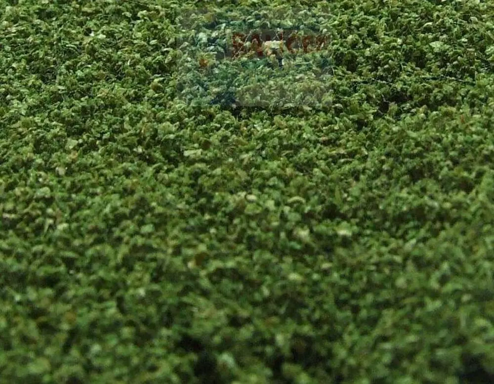 NATUREX střední - Zelená střední, Polák 9024