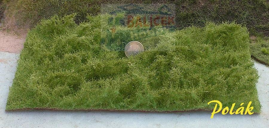 Divoké keře - letní, Polák 5902