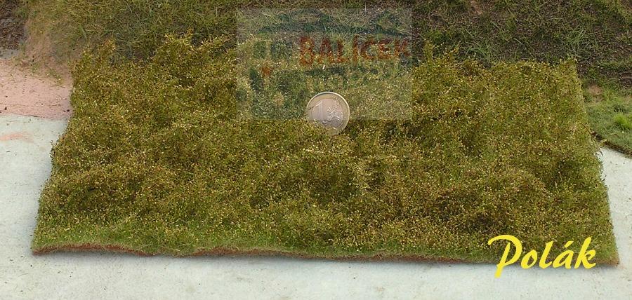 Divoké keře - podzimní, Polák 5903