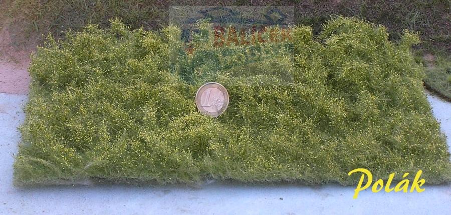 Divoké keře - žluté, Polák 5912