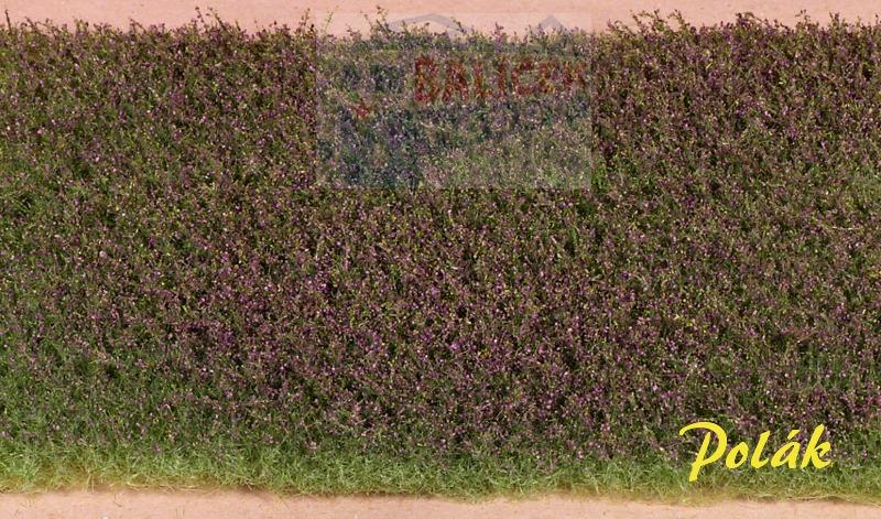 Luční květiny - fialové, Polák 5973