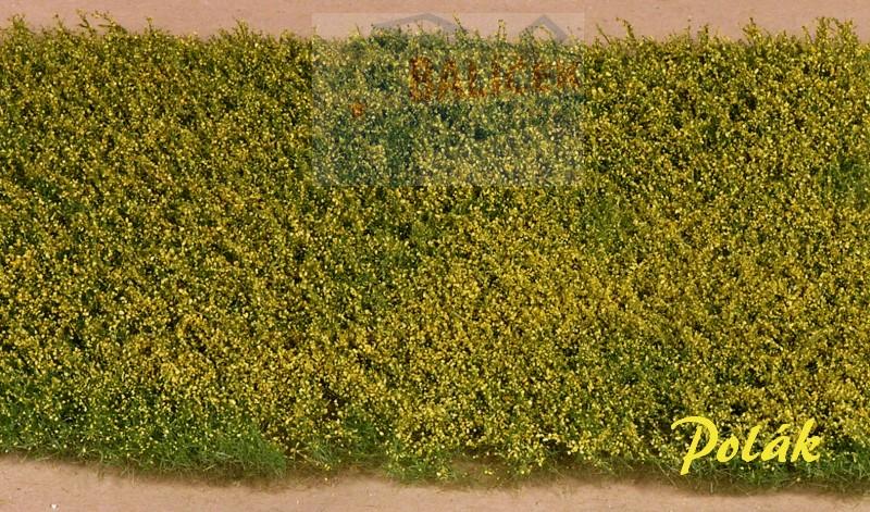 Luční květiny - žluté, Polák 5974