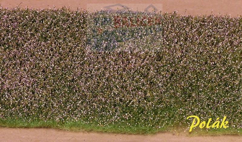 Luční květiny - bílofialové, Polák 5985