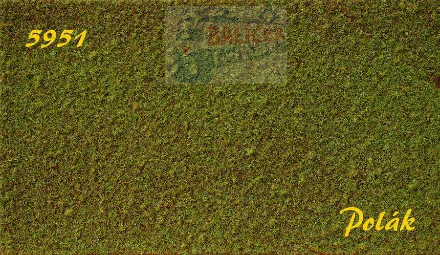 STRUKTURSTAT jemný - Zelená jarní, Polák 5951