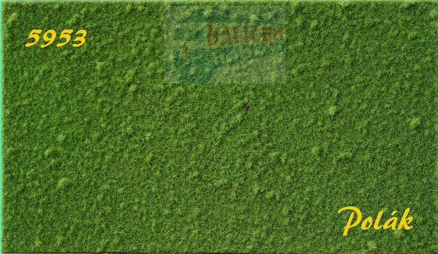 STRUKTURSTAT jemný - Zelená travní, Polák 5953
