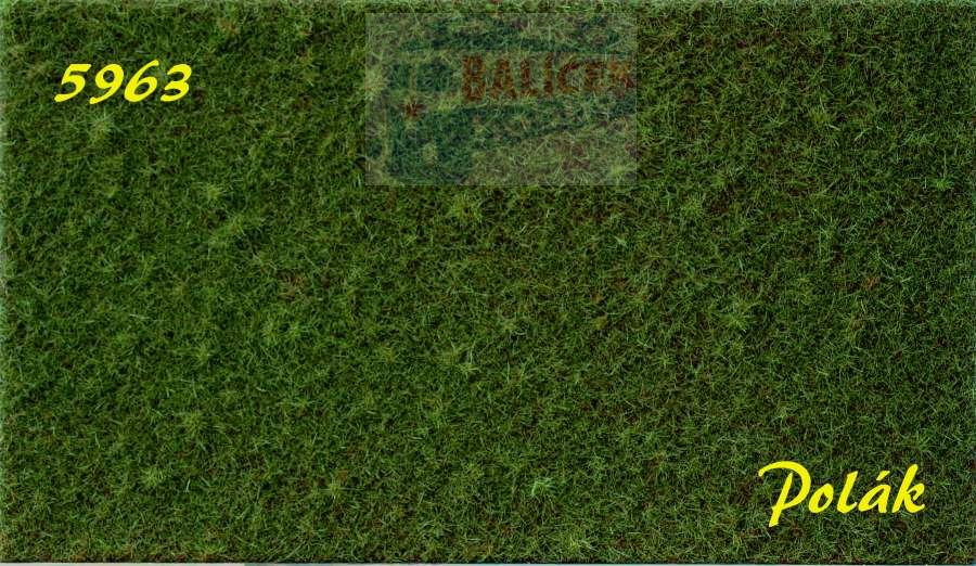 STRUKTURSTAT hrubý - Zelená travní, Polák 5963