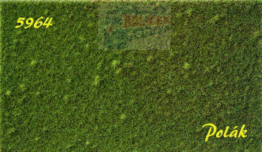 STRUKTURSTAT hrubý - Zelená střední, Polák 5964