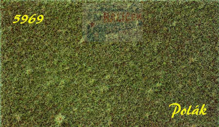 STRUKTURSTAT hrubý - Proschlá tráva, Polák 5969
