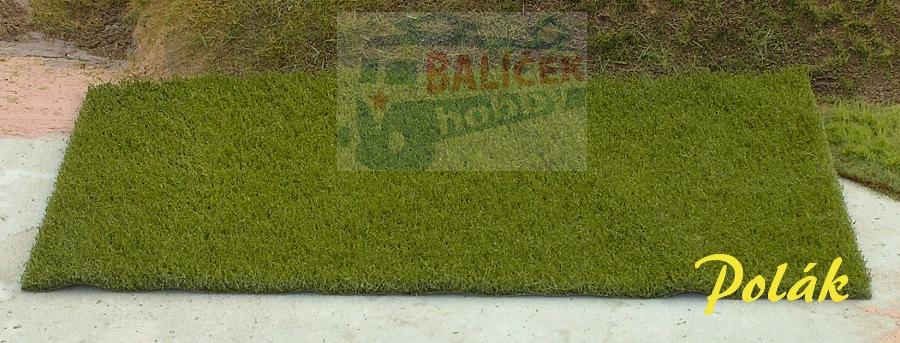 Pastvina - zelená střední, Polák 5872
