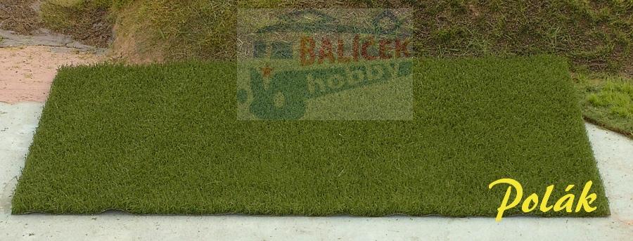  Pastvina - zelená tmavá, Polák 5873