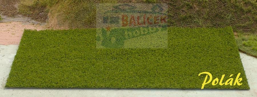 Pastvina - zelená střední, Polák 5882