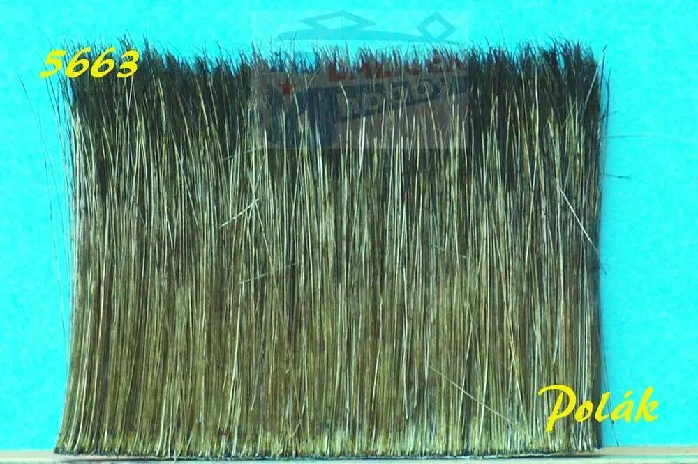 Rákosí - Zelená tmavá - Polák 5663