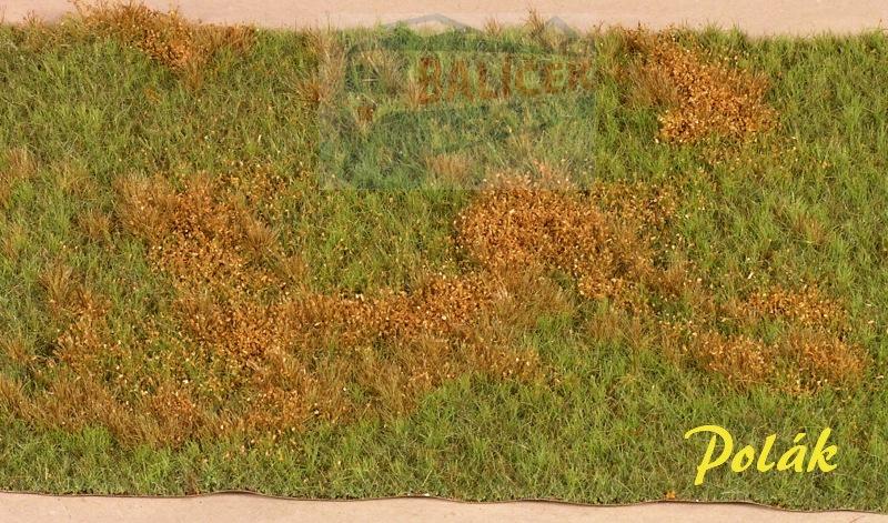 Neobdělávaná louka - varianta B - Polák 4702
