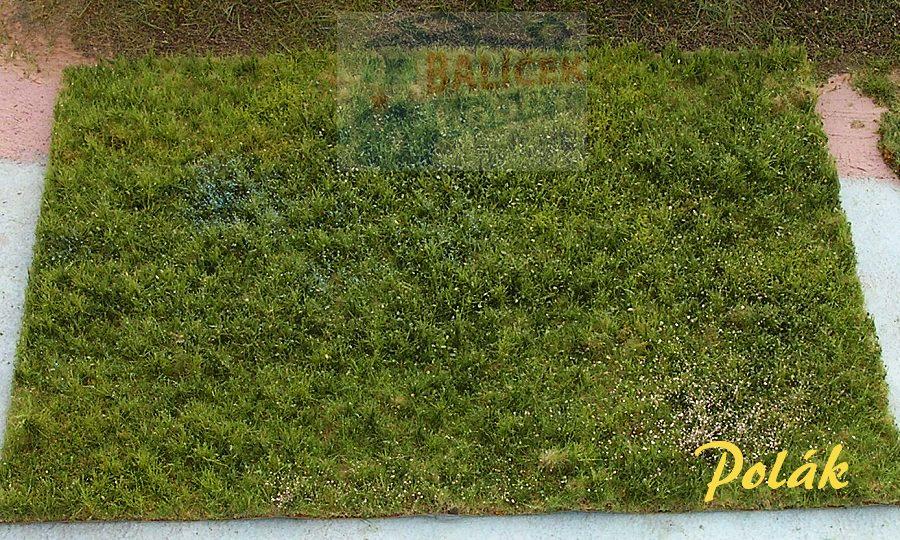 Neobdělávaná louka - varianta D - Polák 4704
