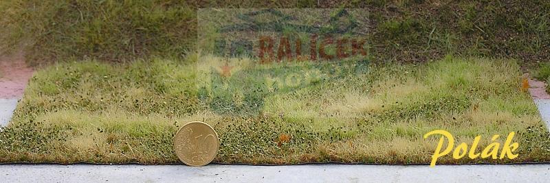 Neobdělávaná louka - varianta F - Polák 4706