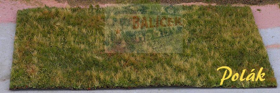 Neobdělávaná louka - varianta G - Polák 4707