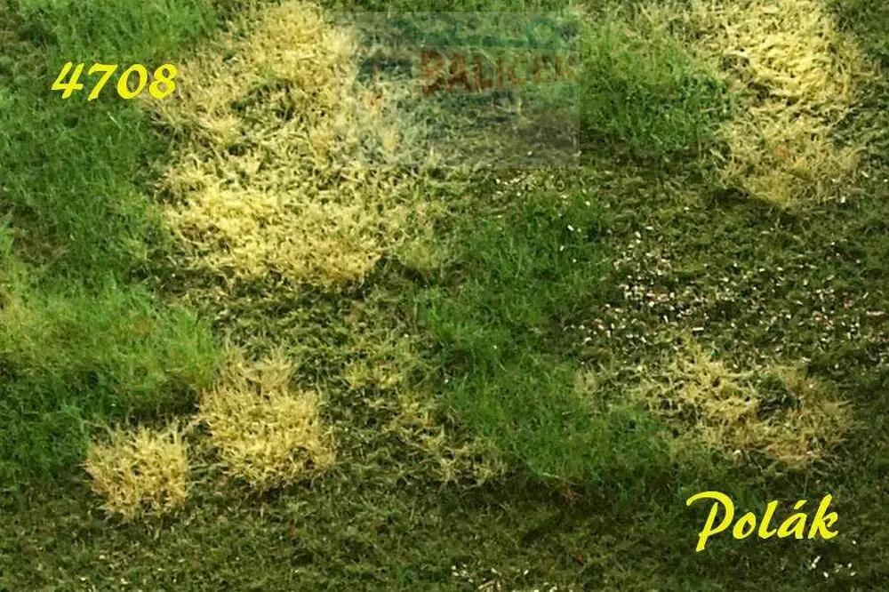 Neobdělávaná louka - varianta H - Polák 4708