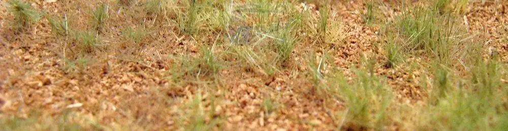 Neobdělávaná louka - varianta J - Polák 4710