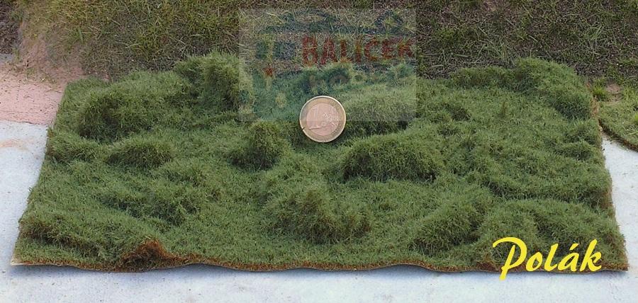 Lesní tráva - krátká - Zelená lesní - Polák 4905