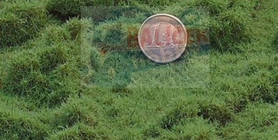 Lesní tráva - dlouhá - Zelená travní - Proschlá tráva - Polák 4953