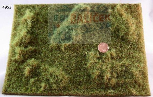 Lesní tráva - dlouhá - Zelená luční - Proschlá tráva - Polák 4952