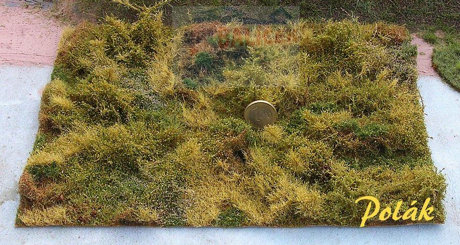 Lesní porost varianta C - Polák 9813