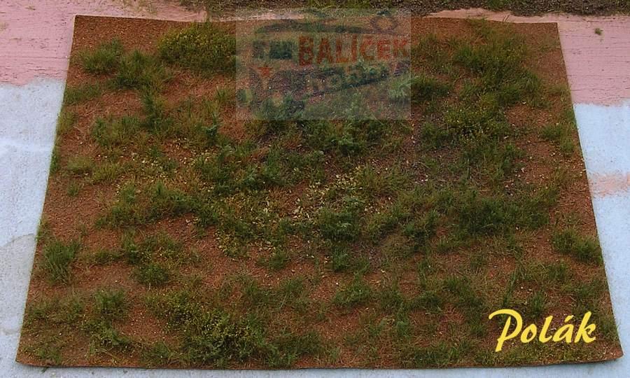 Lesní mýtina varianta C - Polák 9823