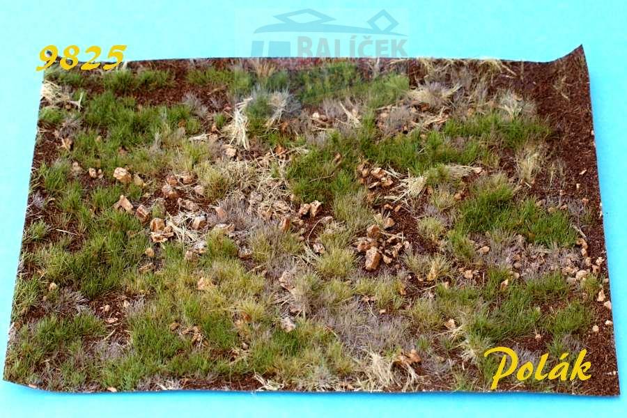 Lesní mýtina varianta E - Polák 9825