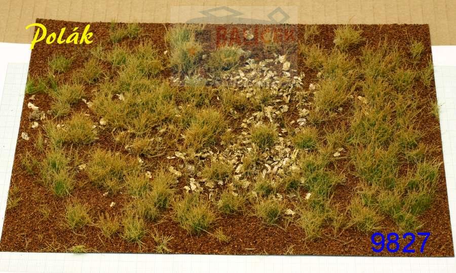 Lesní mýtina varianta G - Polák 9827