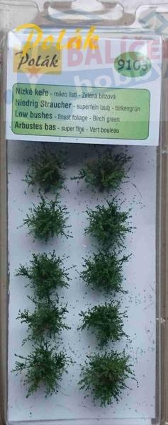 Keře - Nízké keře - mikro listí - Zelená břízová, Polák 9103