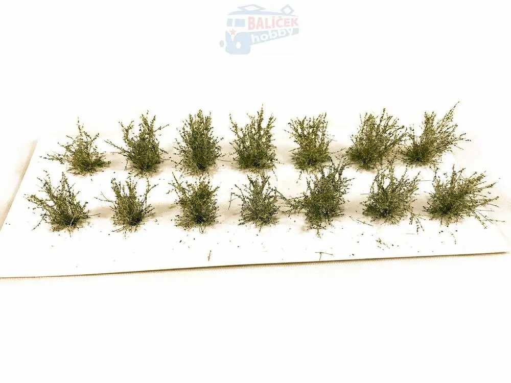 Keře - Nízké keře - mikro listí - Zelená vrbová, Polák 9152