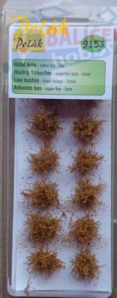 Keře - Nízké keře - mikro listí - Okr, Polák 9153