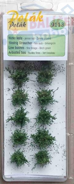 Keře - Nízké keře - jemné l - Zelená břízová , Polák 9113