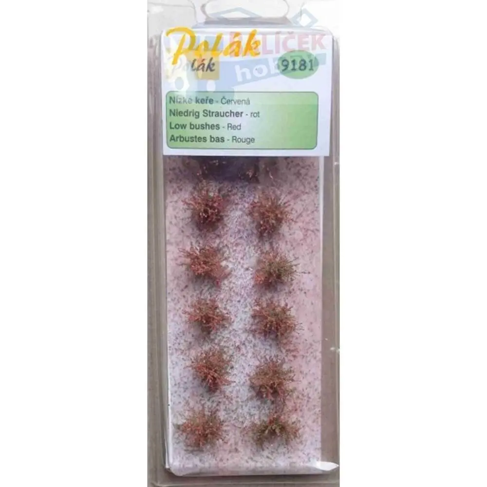 Nízké keře - kvetoucí - Červené, Polák 9181