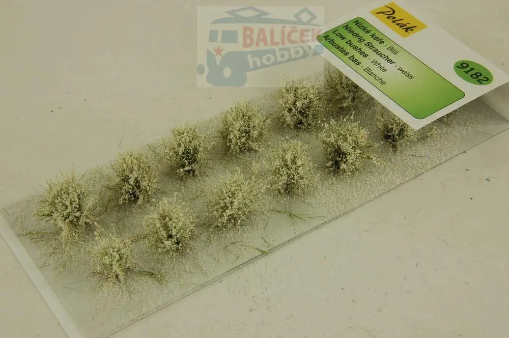 Nízké keře - kvetoucí - Bílé, Polák 9182