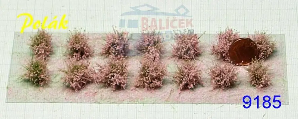 Nízké keře - kvetoucí - Růžové, Polák 9185