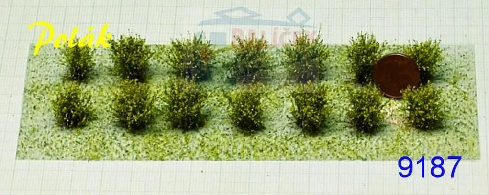 Nízké keře - kvetoucí - Žluté, Polák 9187