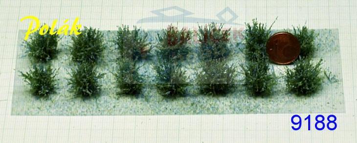 Nízké keře - kvetoucí - Modré, Polák 9188