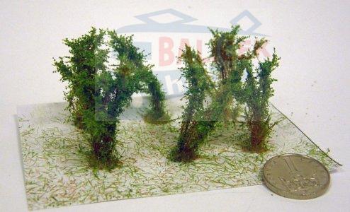 Keře - Střední keře - mikro listí - Zelená světlá , Polák 9302