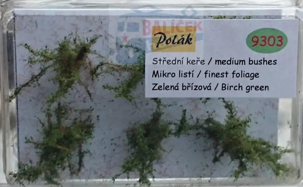 Keře - Střední keře - mikro listí - Zelená břízová , Polák 9303