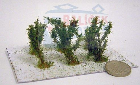 Keře - Střední keře - mikro listí - Zelená osiková , Polák 9351