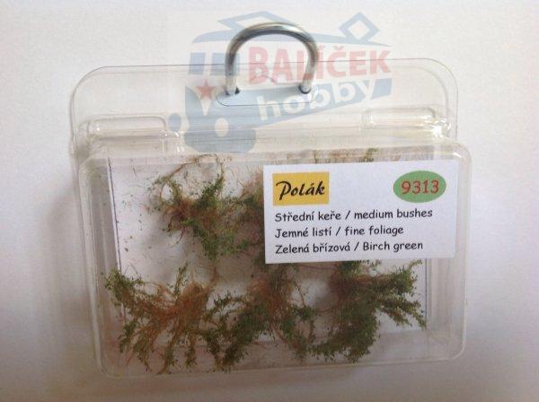 Keře - Střední keře - jemné listí - Zelená břízová , Polák 9313